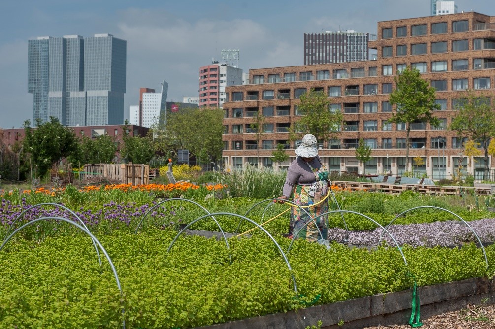 Belgijski Mechelen isprobava novi ‘Edible City’koncept