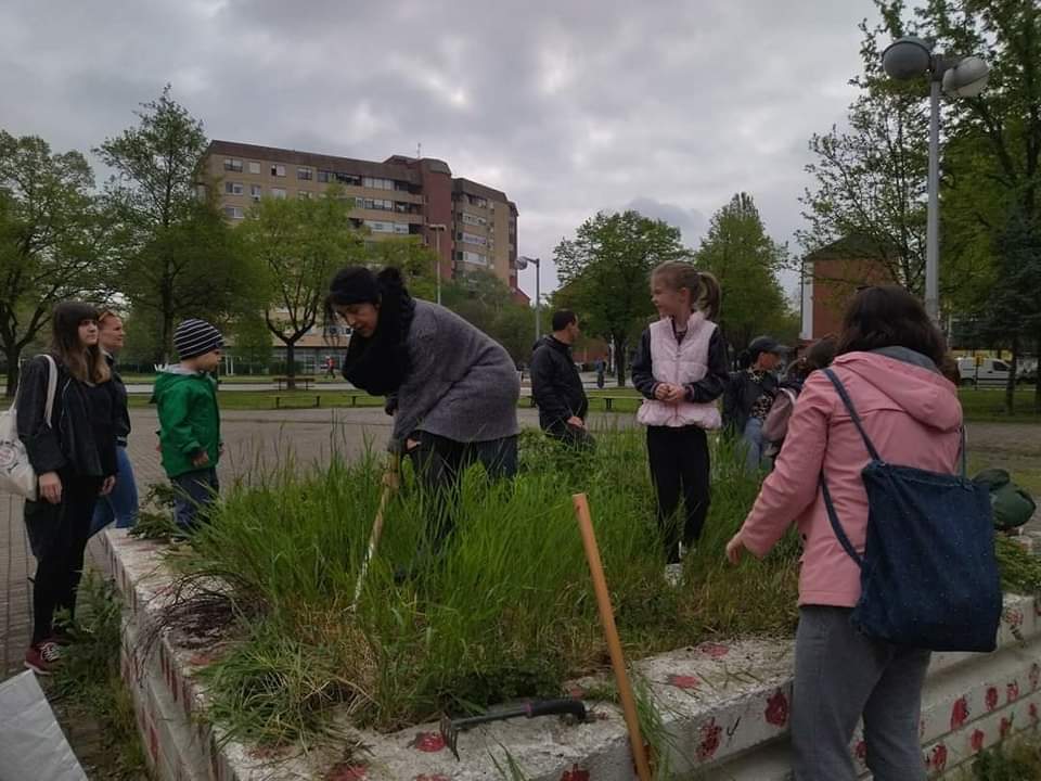 Posadi cvijet – oboji svoj svijet!