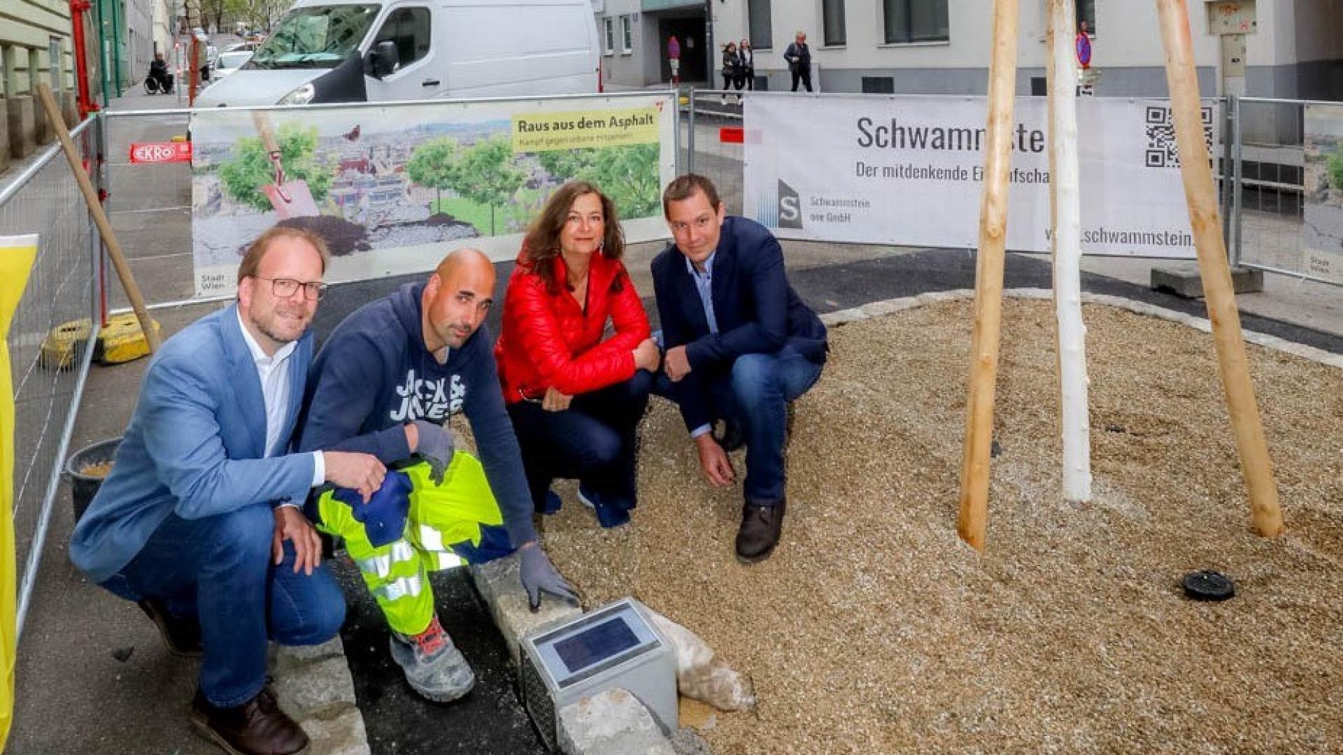 Beč koristi ‘spužvasto kamenje’ koje pomaže mladim stablima tijekom sušnog ljeta