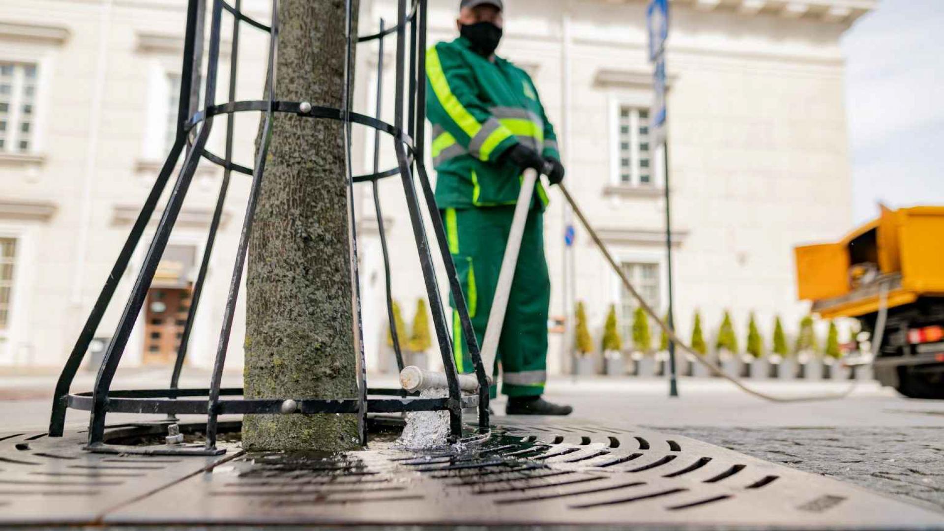 Pametni sustav će otkrivati koliko su stabla u Vilniusu žedna
