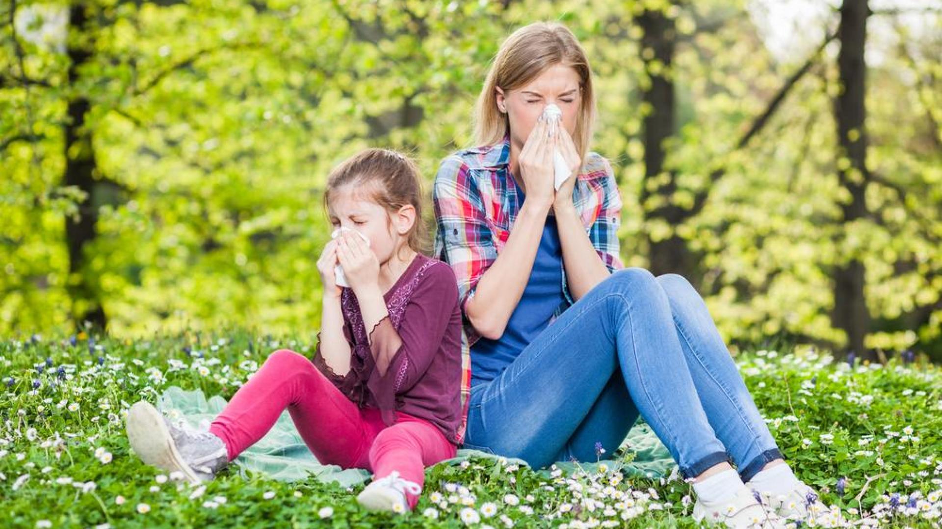 STIŽE VRIJEME ALERGIJA: Pariz će brže upozoravati alergičare zahvaljujući prvom ‘pollinariju’