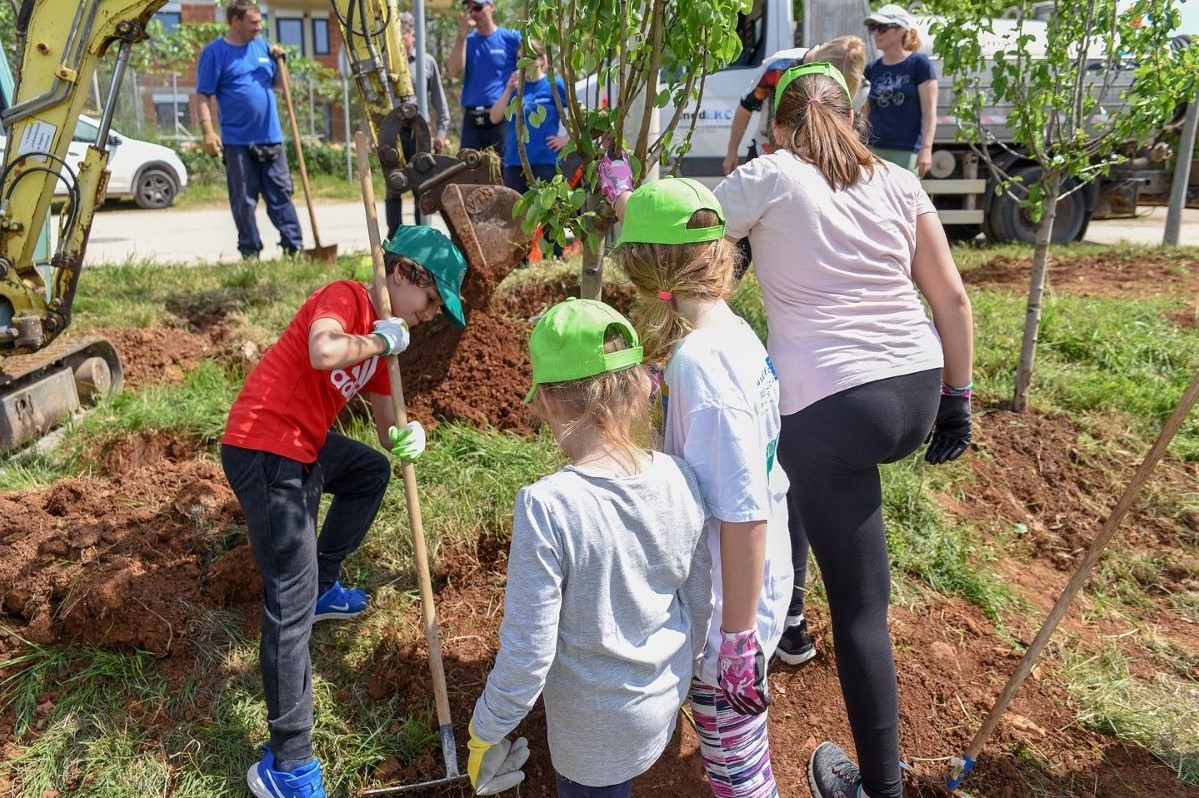 „Svi za lokvu, LOKVA ZA SVE!“ – Prvom zajedničkom akcijom sadnje uređen okoliš Medulinske lokve!