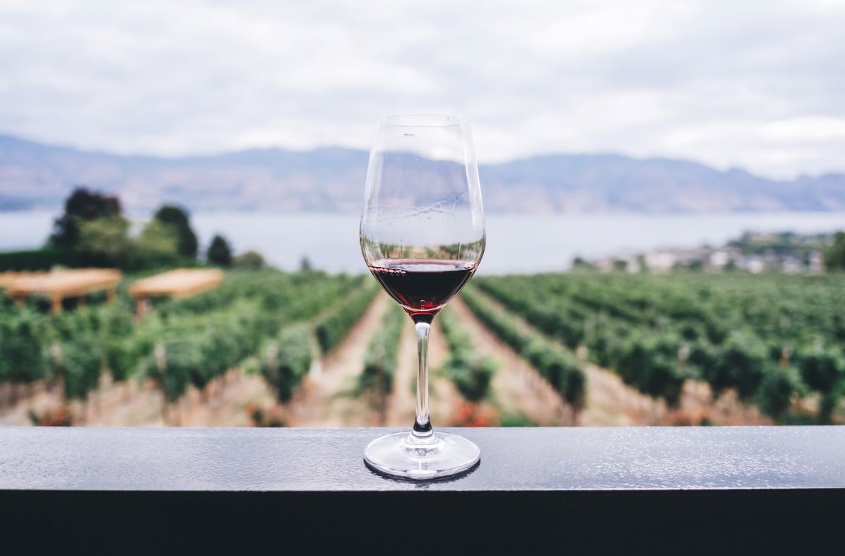 In vino veritas