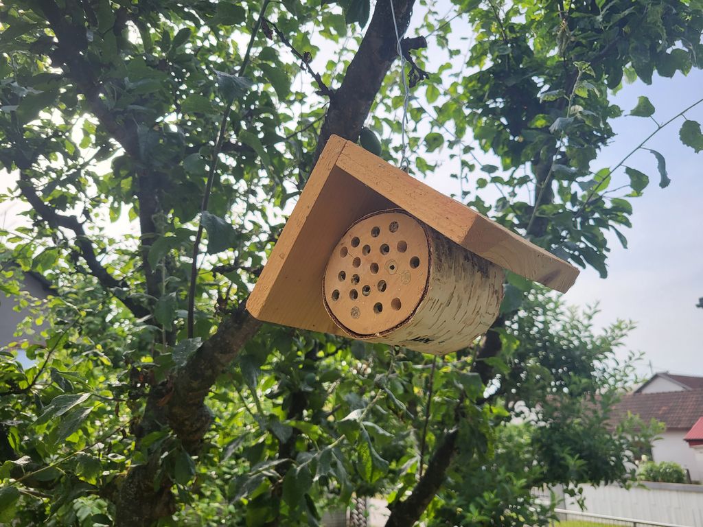 Dijamantni status Ekoškole za COOR Podravsko sunce