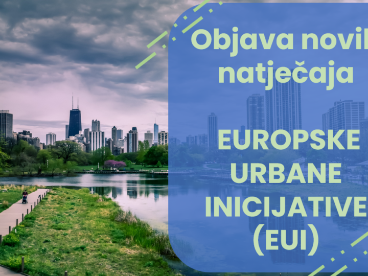 EUI raspisao 2. poziv za inovativne akcije