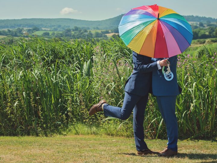 Estonija je postala prva država bivšeg SSSR-a koja je legalizirala gay brakove