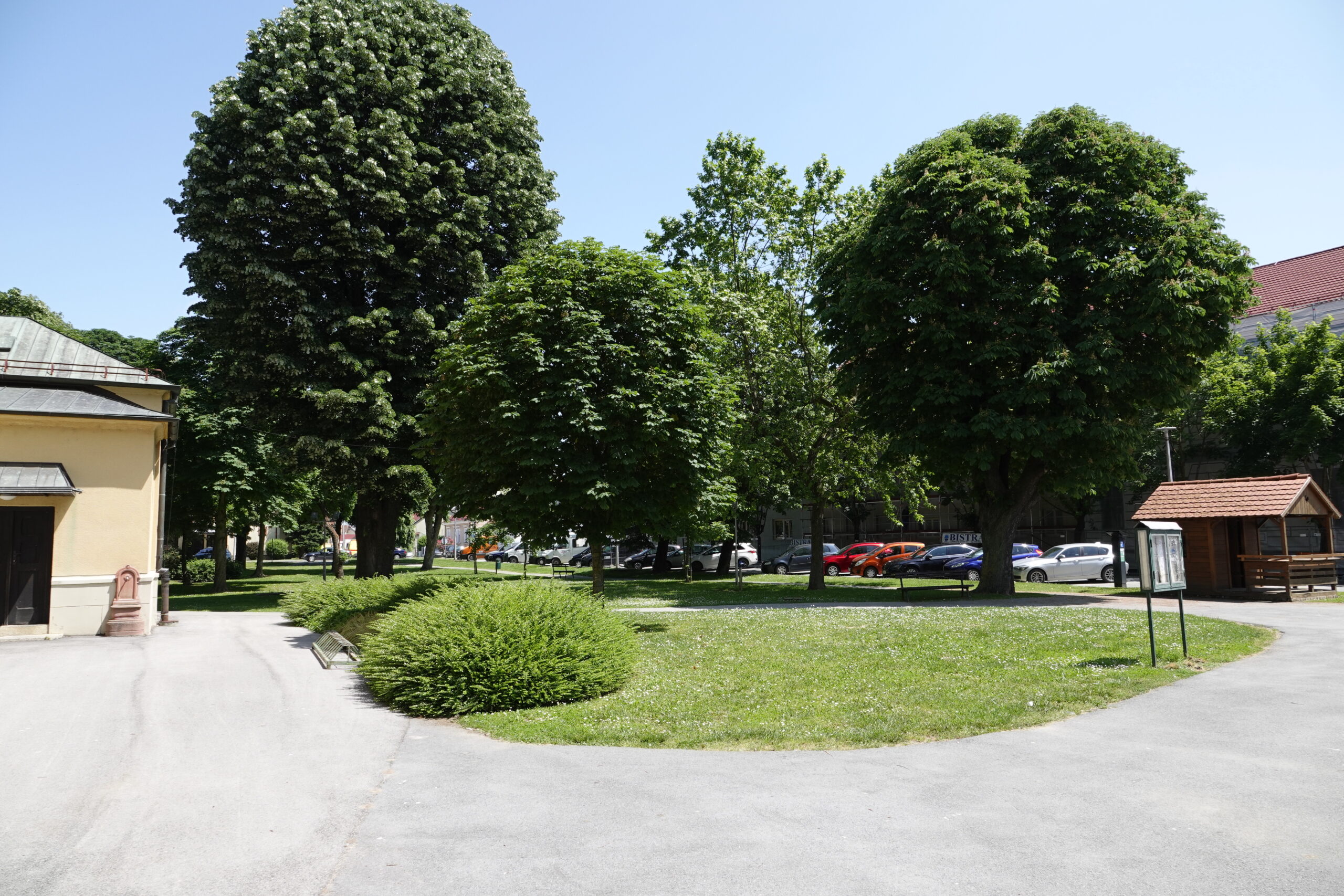 Istraživanje je pokazalo da manje asfalta i više drveća u gradovima produljuje životni vijek!