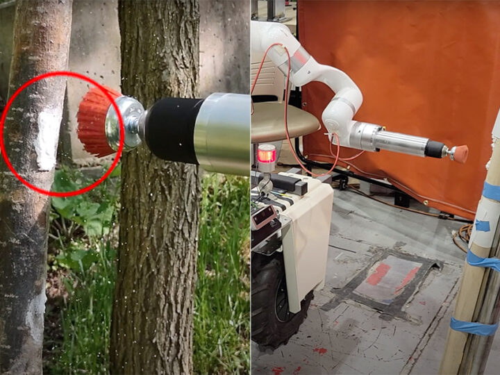 Studenti razvili autonomnog robota koji uništava invazivne insekte