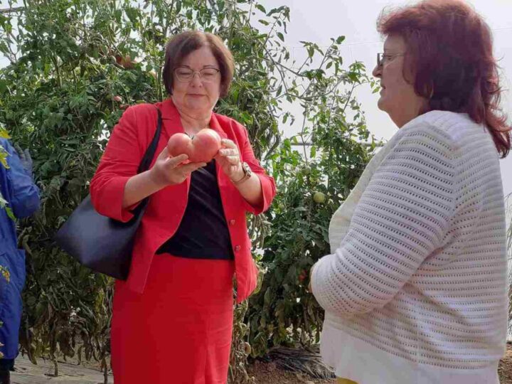 Ovaj bugarski grad dobiva službeni status poljoprivrednika