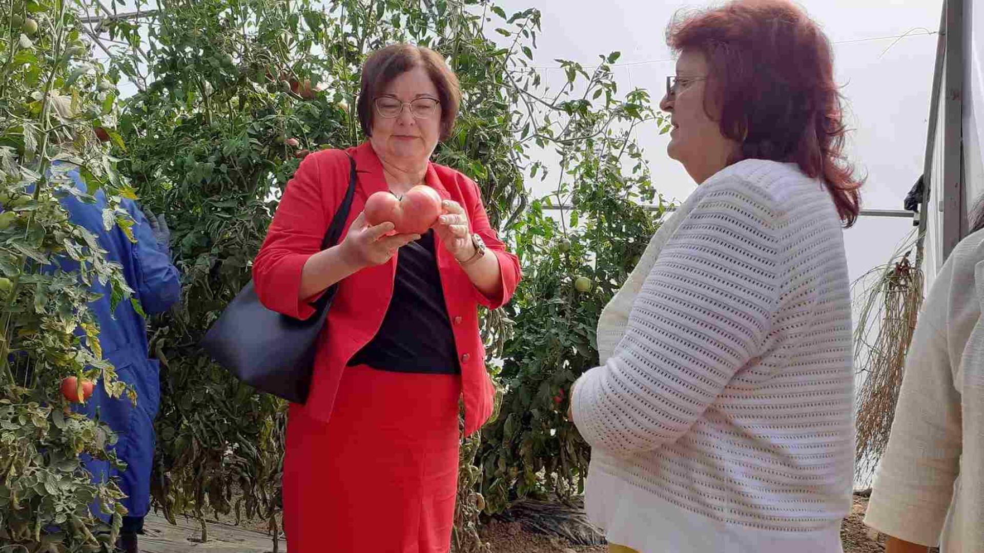 Ovaj bugarski grad dobiva službeni status poljoprivrednika