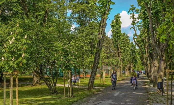 Karlovac će ove godine biti bogatiji za 200 stabala, 120 sadnica grmlja i tri nova drvoreda
