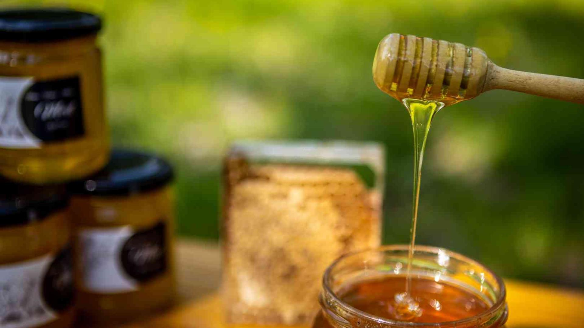 Središnja Istra traži gurmanske nomade