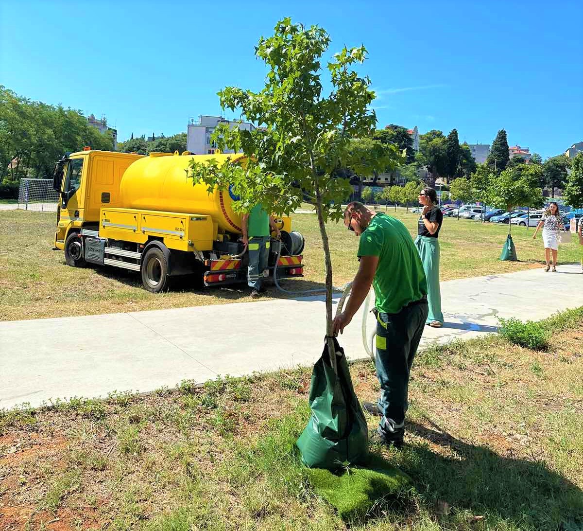 Grad Pula nastavlja s implementacijom inovativnih rješenja u zaštiti drveća