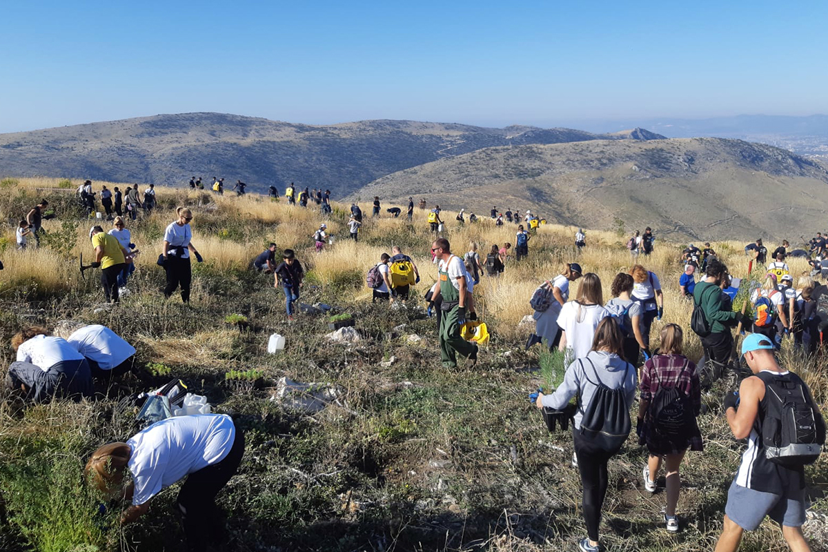 Volonteri na Mosoru do ovog vikenda zasadili 130.000 stabala