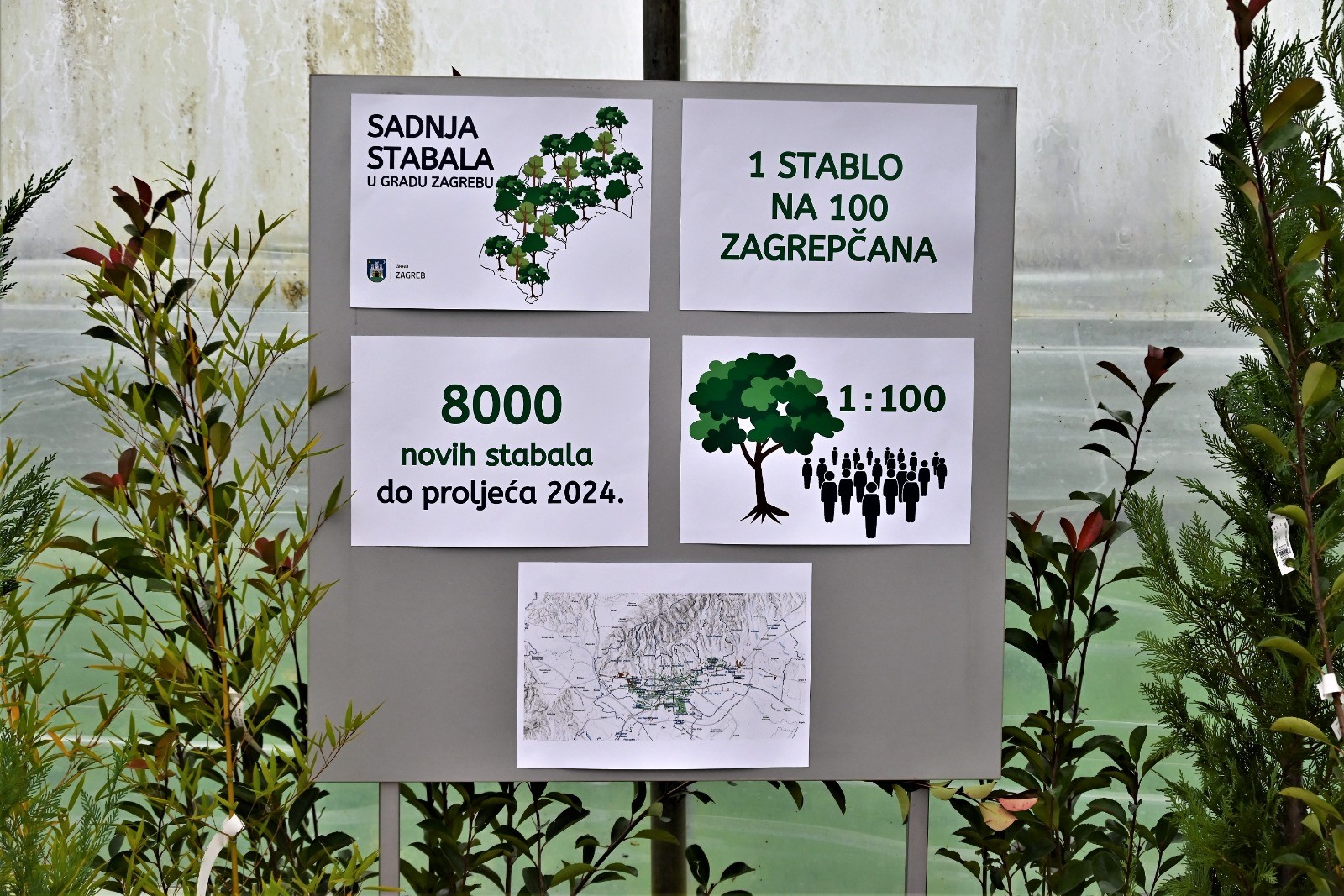 Kreće veliko ozelenjivanje Zagreba: Grad će svake godine posaditi 8.000 novih stabala, 1 na svakih 100 stanovnika