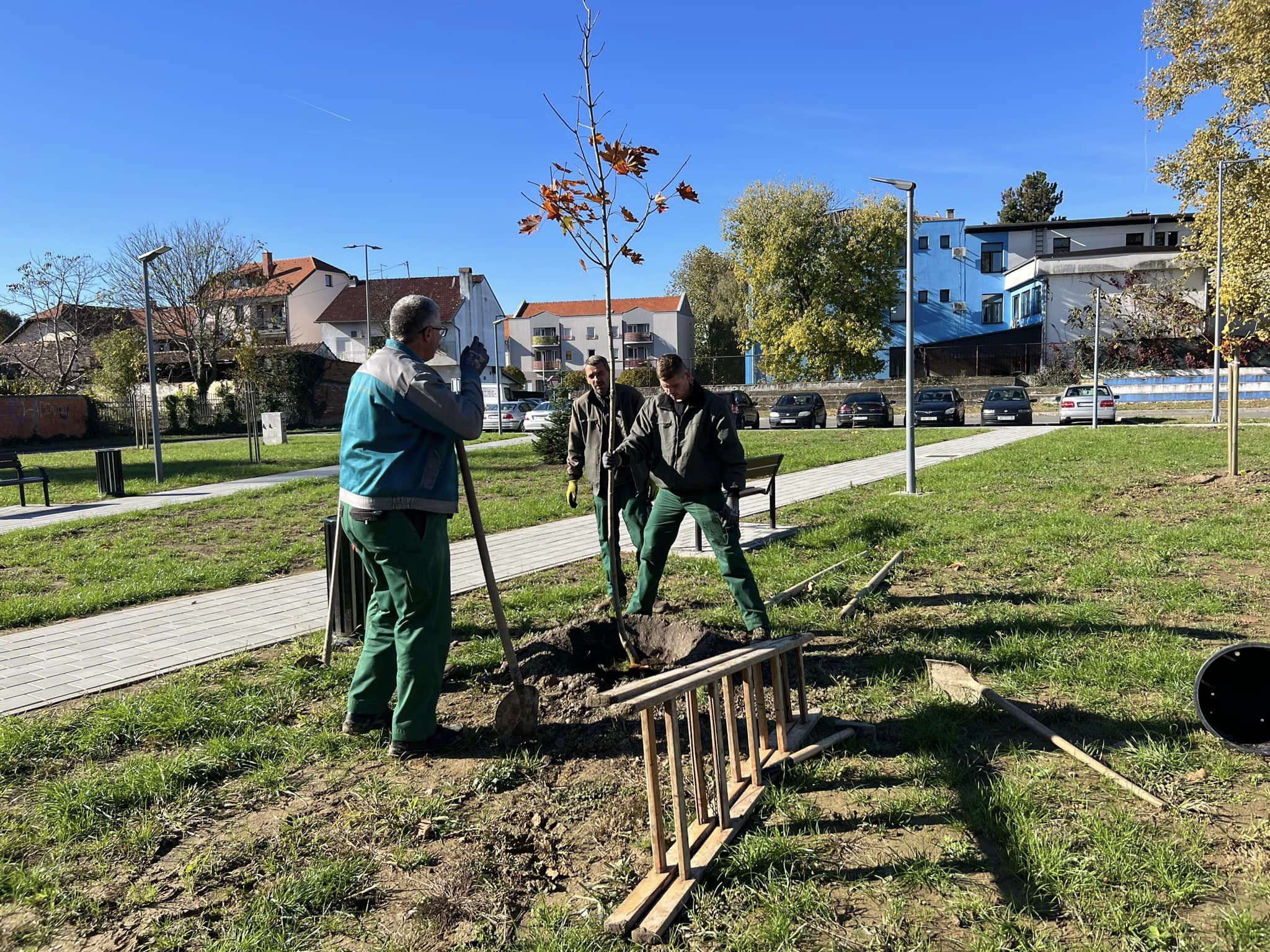 Vinkovci sade 700 mladih stabala i grade biciklističke staze