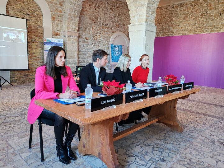 Značaj i uloga sigurnih kuća u zajednici