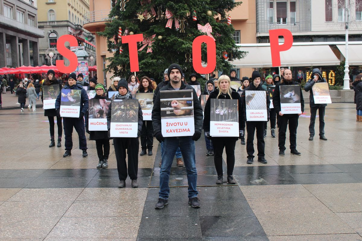 STOP zlostavljanju, DA pravima životinja