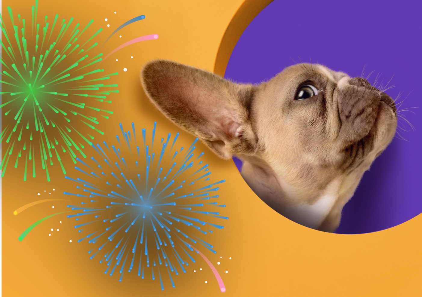 Pet friendly fireworks: Umag u Novu Godinu ulazi uz bešumni vatromet