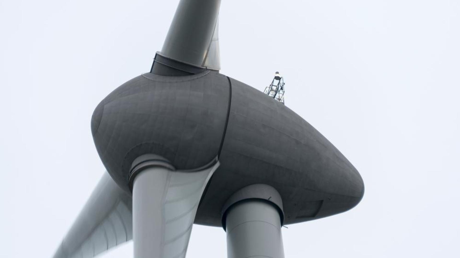 Godine 2023. Belgija je proizvela više električne energije iz obnovljivih izvora nego iz fosilnih goriva