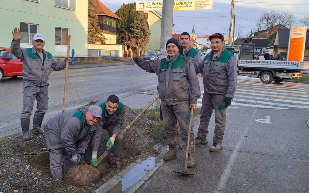 U Dugom Selu prošlog tjedna posađen drvored javora, a lani 155 stabala i 800 grmova