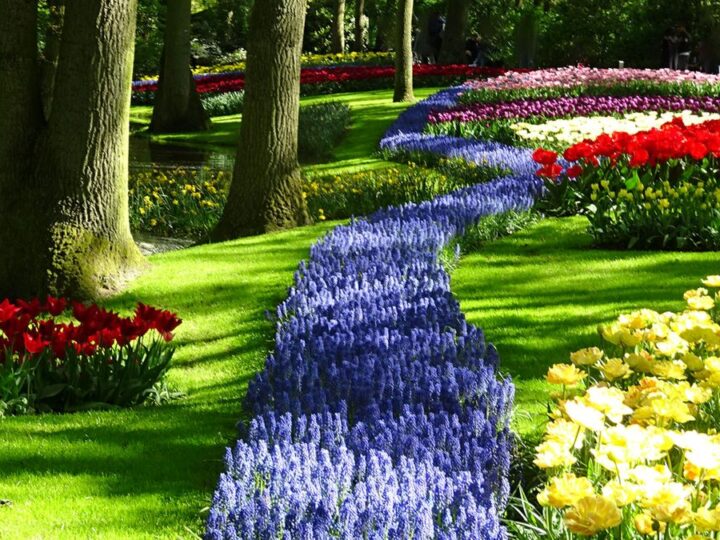 Najljepša mjesta gdje možete vidjeti proljetno cvijeće u Europi