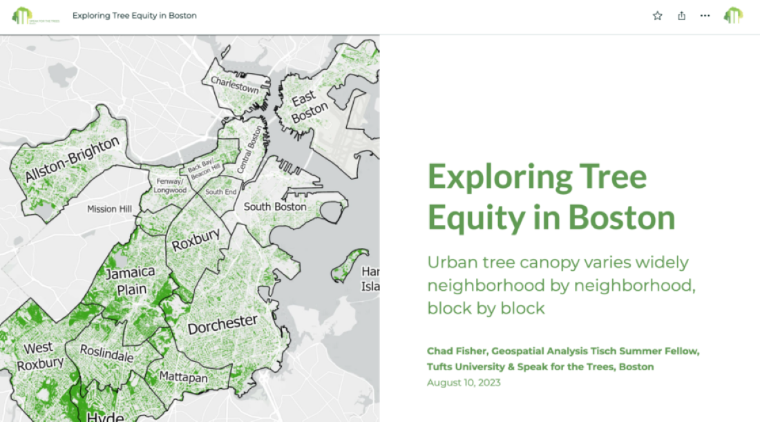 Boston razvija podatke o urbanom drveću