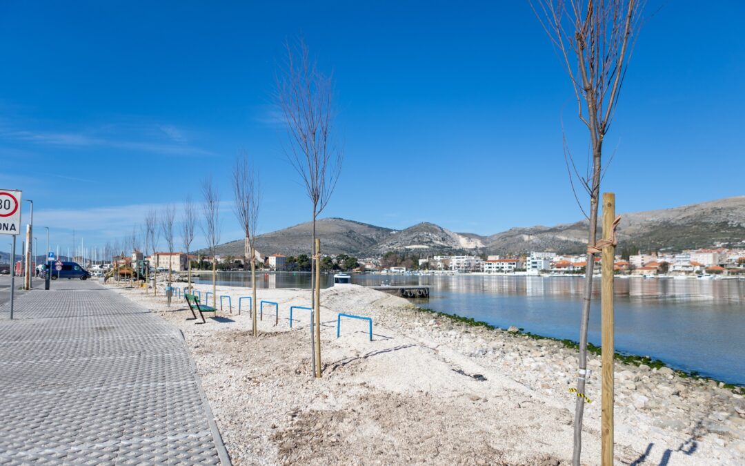 Trogir sadi 100 novih stabala