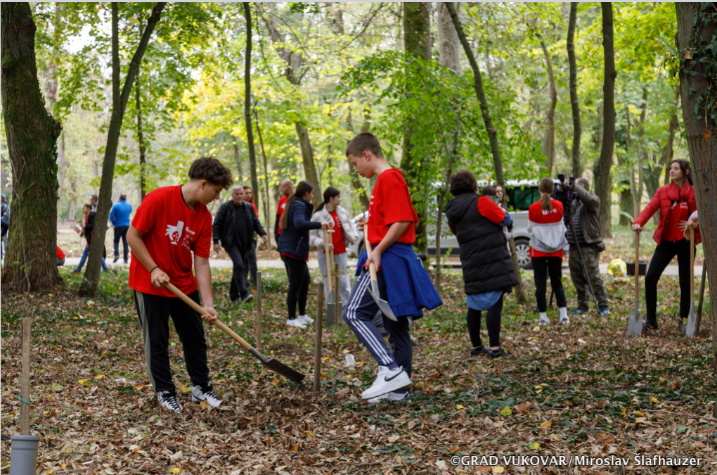 U tijeku je sadnja 2800 sadnica drveća diljem Vukovara