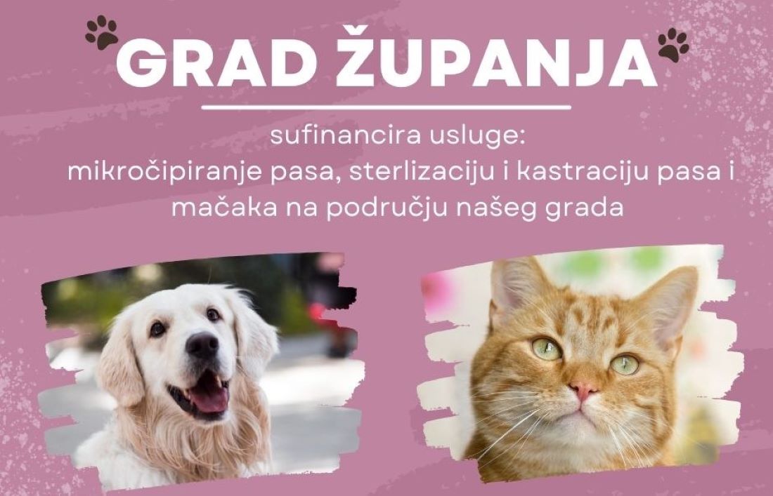 Županja sufinancira sterilizaciju, kastraciju i mikročipiranje kućnih ljubimaca