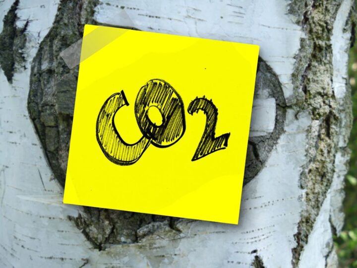 Znanstvenici proizveli struju koristeći CO2