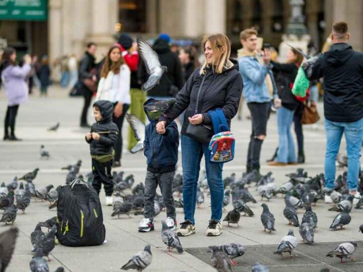 Hranite li golubove u ovom dijelu Milana mogli biste biti kažnjeni