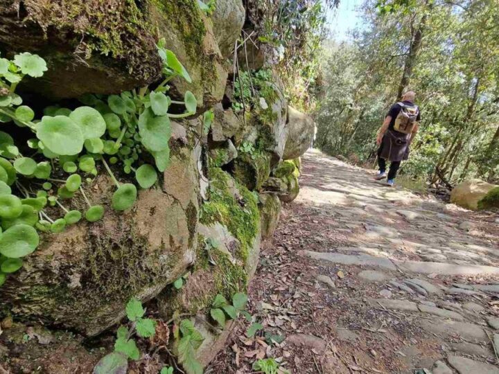 Zašto Nacionalni park Cinque Terre uvodi jednosmjernu pješačku stazu?