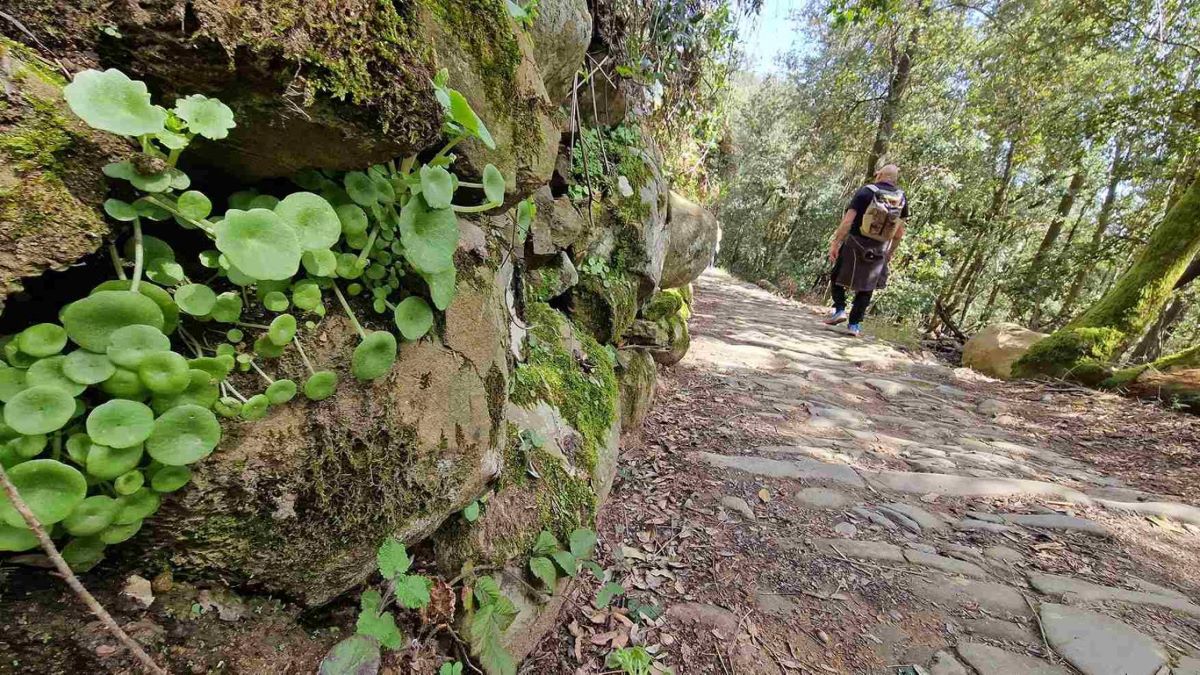 Zašto Nacionalni park Cinque Terre uvodi jednosmjernu pješačku stazu?