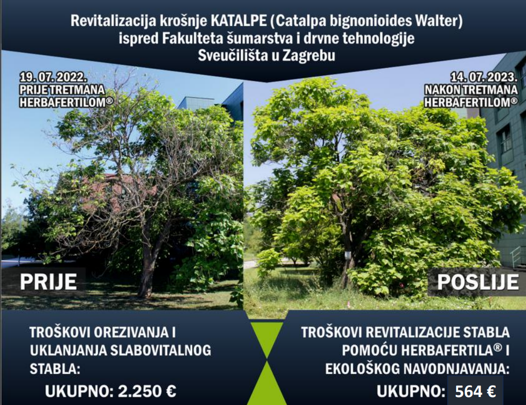 Kako smanjiti troškove održavanja urbanog zelenila i spriječiti sušenje “zarobljenih” stabala