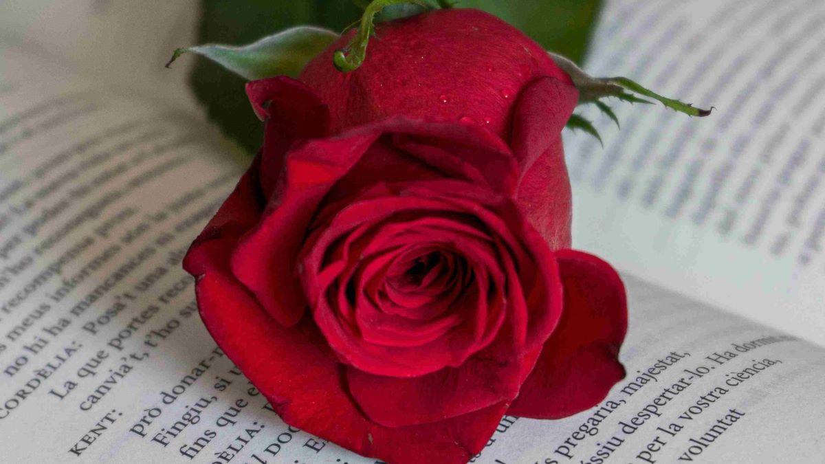 Katalonija danas slavi Sant Jordi