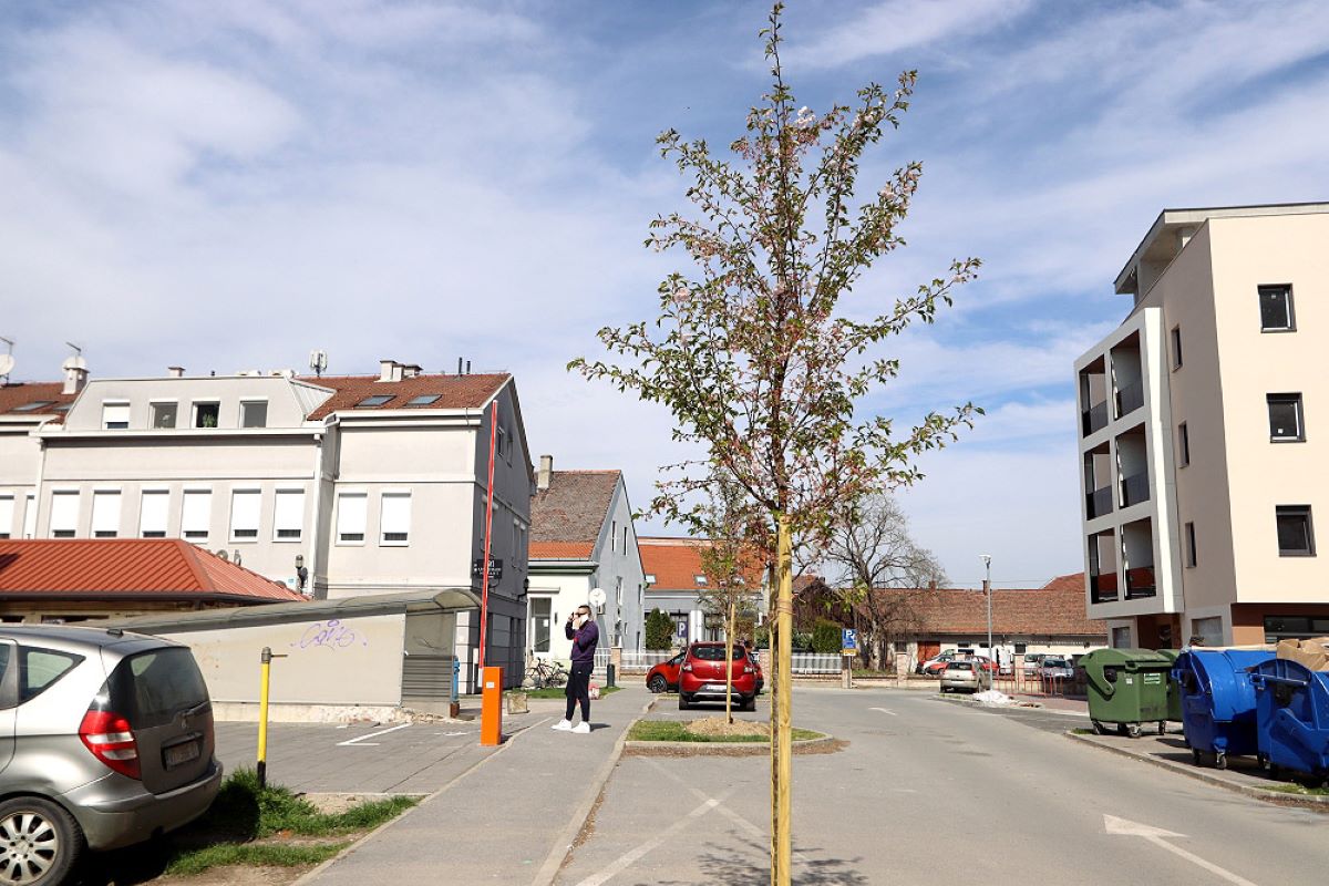 Virovitica sadi 385 novih stabala, 410 grmova i ugrađuje 6 slavina s pitkom vodom