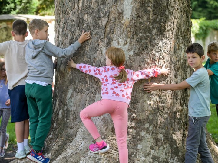 Ustanovljeno je da djeca koja žive u blizini europskih zelenih površina imaju zdravija pluća