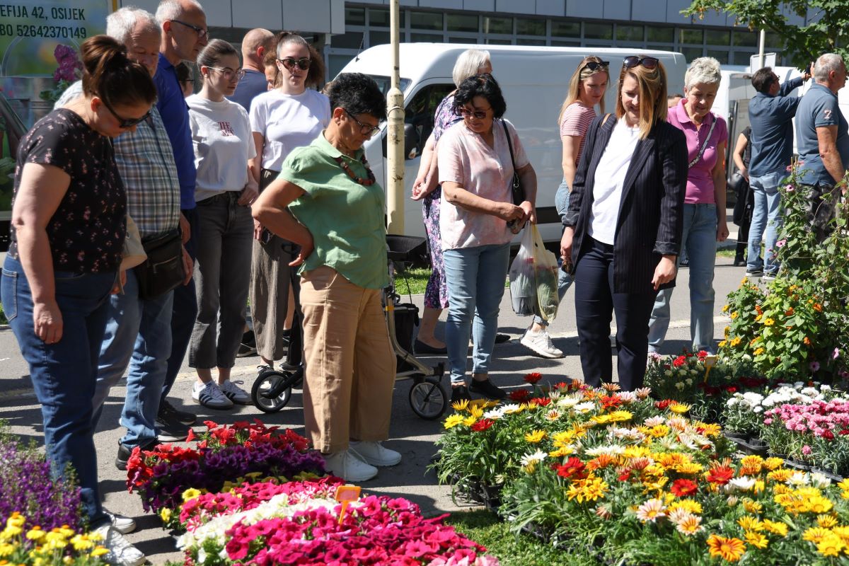 Osijek je grad s više parkova nego trgova