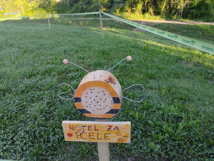 Grad Zagreb kreće s projektom Cvjetnih livada za oprašivače