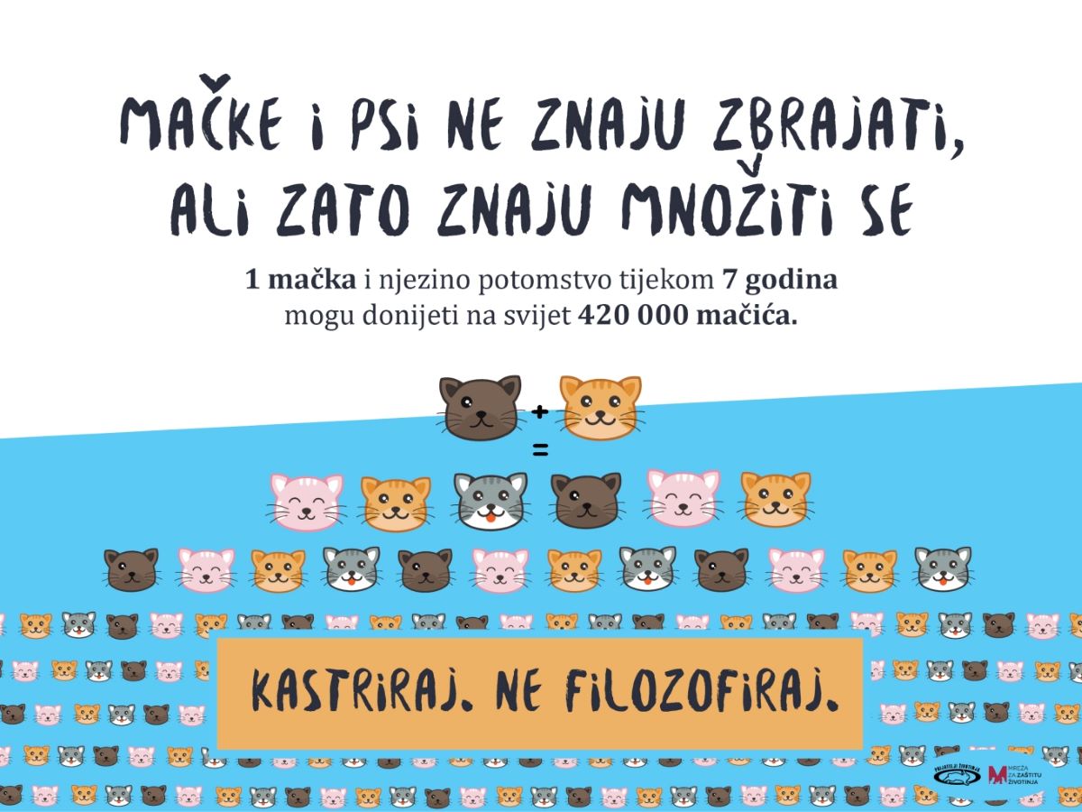 Grad Karlovac vlasnicima pasa i mačaka sufinancira troškove kastracije i sterilizacije