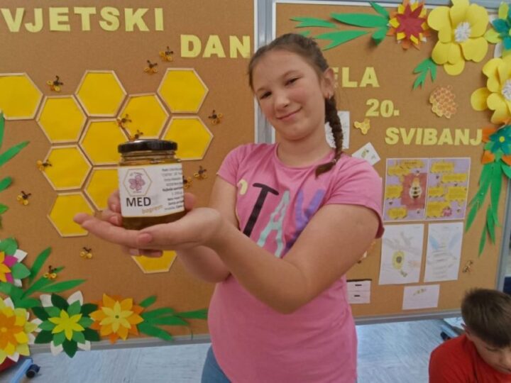 Osnovna škola ima vlastiti pčelinjak sa sedam zajednica i proizvodi med