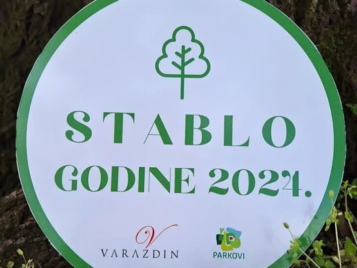 Glasujte za stablo godine 2024.!