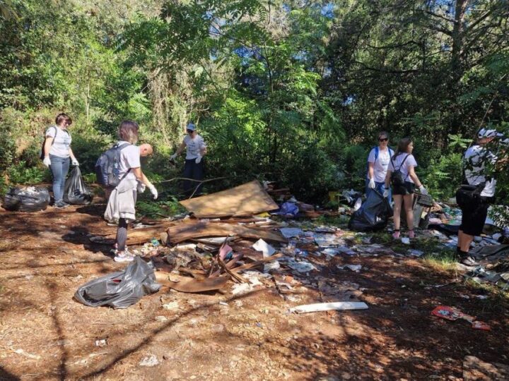 Grad Pula upravo realizira devet “zelenih” projekata, a za kišne vrtove dobio je i međunarodnu nagradu