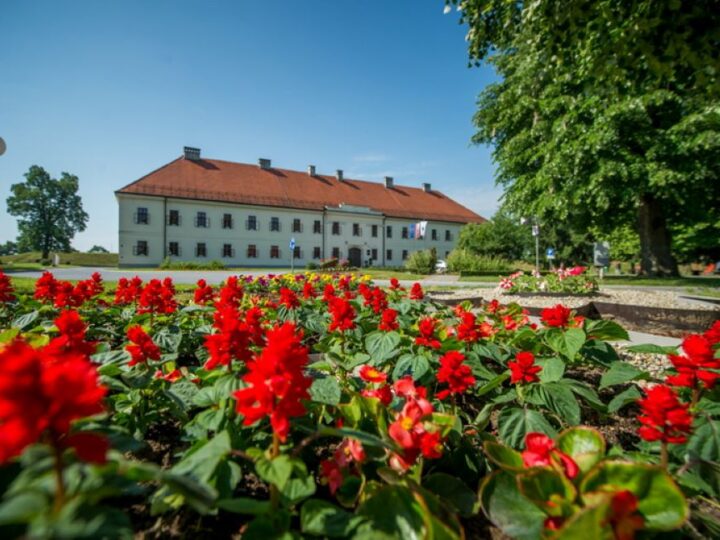 Hrvatski grad raspisao natječaj putem kojeg mlade obitelji mogu ostvariti pravo građenja na gradskim zemljištima!