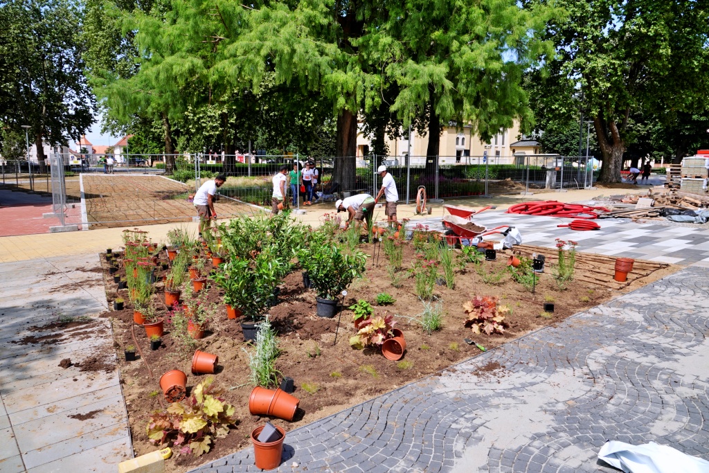Na Trgu sv. Jurja u Đurđevcu sve više cvijeća i zelenila