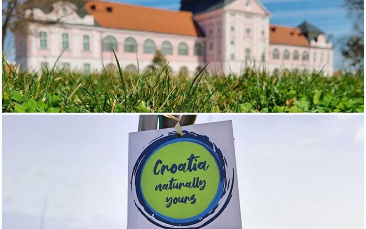 Turističkoj zajednici Virovitice odobrena bespovratna sredstva za nabavu sadnica stabala