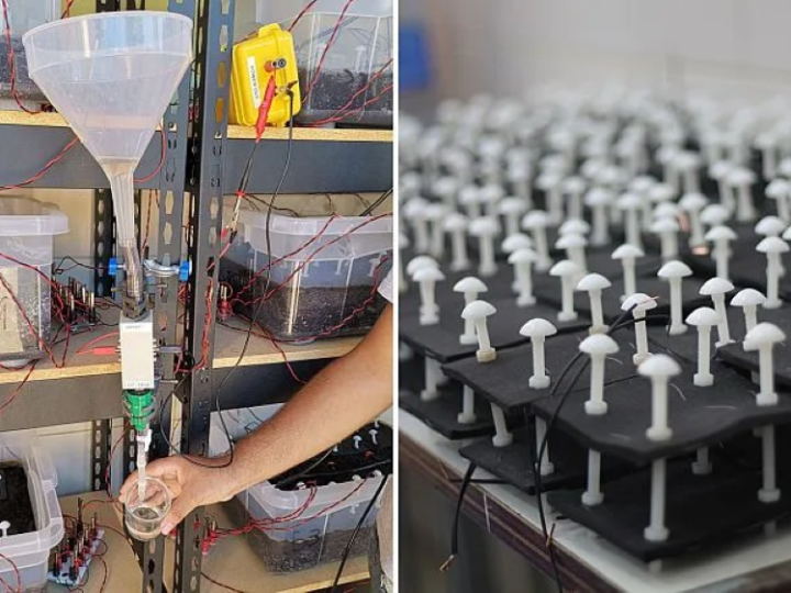 Startup stvara održivu energiju iz zemlje