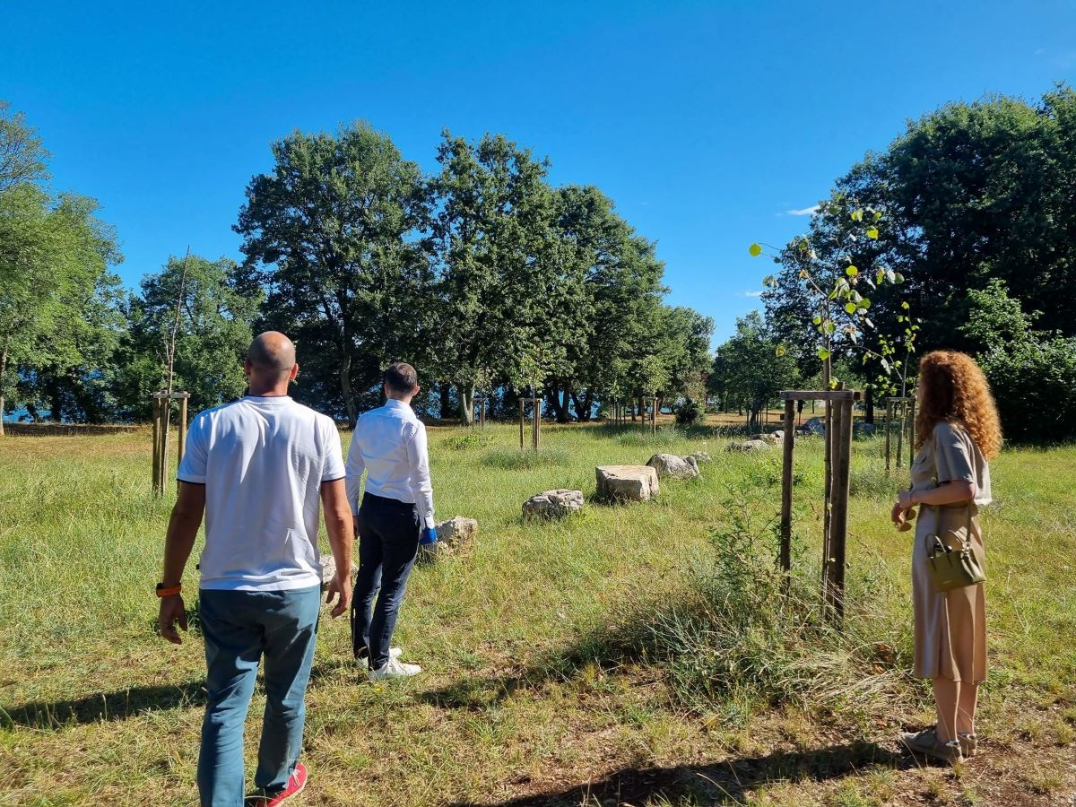 Poreč je u zadnjih nekoliko godina posadio 3.500 novih stabala i sadnica mediteranskog bilja – očekuje nas sadnja još njih 2.000