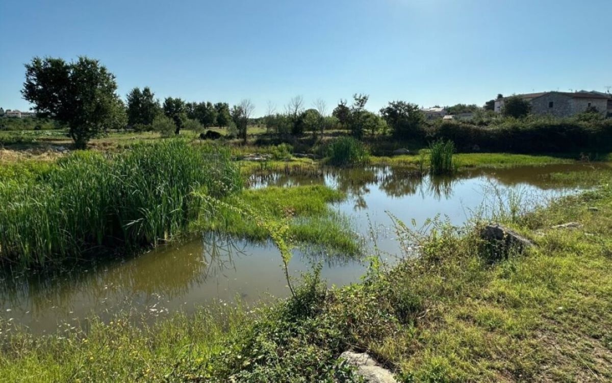 Poreč puni vodom pojilišta za divlje životinje